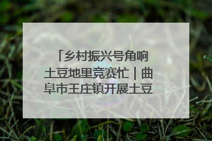 乡村振兴号角响 土豆地里竞赛忙｜曲阜市王庄镇开展土豆收获劳动竞赛