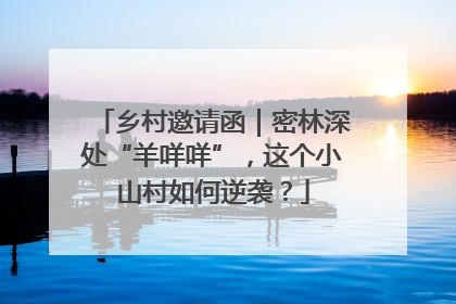 乡村邀请函｜密林深处“羊咩咩”，这个小山村如何逆袭？