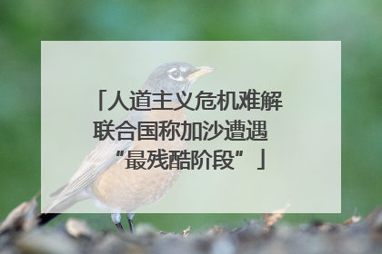 人道主义危机难解 联合国称加沙遭遇“最残酷阶段”