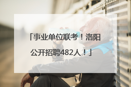 事业单位联考！洛阳公开招聘482人！