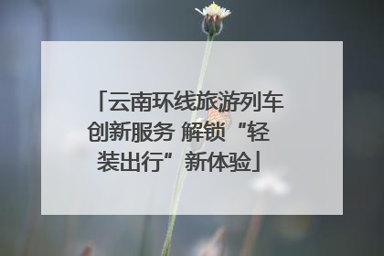 云南环线旅游列车创新服务 解锁“轻装出行”新体验