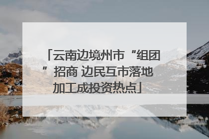 云南边境州市“组团”招商 边民互市落地加工成投资热点