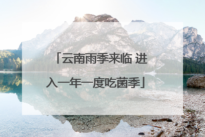 云南雨季来临 进入一年一度吃菌季