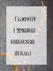 云岭时评丨警惕旅居同质化发展苗头④