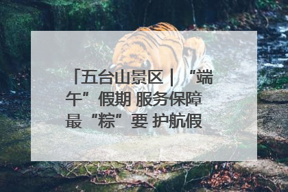 五台山景区｜“端午”假期 服务保障最“粽”要 护航假期“不打烊”