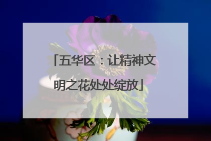 五华区：让精神文明之花处处绽放