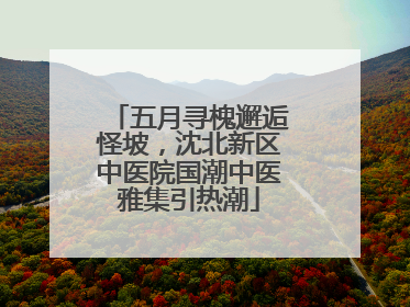 五月寻槐邂逅怪坡，沈北新区中医院国潮中医雅集引热潮