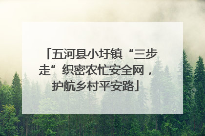 五河县小圩镇“三步走”织密农忙安全网，护航乡村平安路