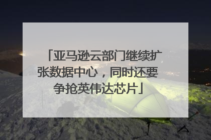 亚马逊云部门继续扩张数据中心，同时还要争抢英伟达芯片