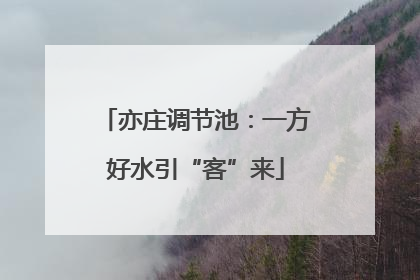 亦庄调节池：一方好水引“客”来