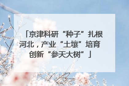 京津科研“种子”扎根河北，产业“土壤”培育创新“参天大树”