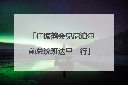 任振鹤会见尼泊尔前总统班达里一行