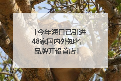 今年海口已引进48家国内外知名品牌开设首店