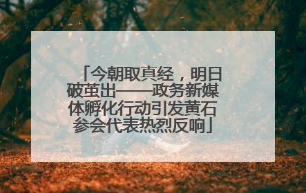 今朝取真经，明日破茧出——政务新媒体孵化行动引发黄石参会代表热烈反响