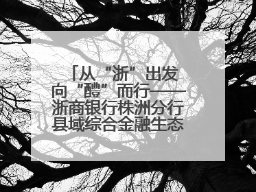 从“浙”出发 向“醴”而行——浙商银行株洲分行县域综合金融生态建设纪实