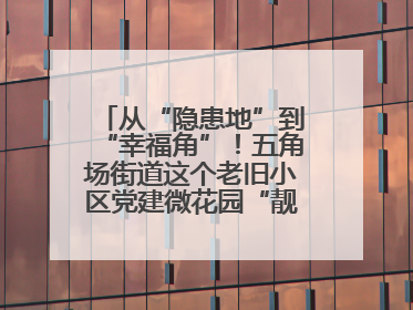 从“隐患地”到“幸福角”！五角场街道这个老旧小区党建微花园“靓”出幸福新图景