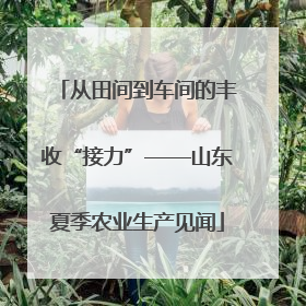 从田间到车间的丰收“接力”——山东夏季农业生产见闻