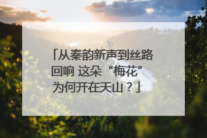 从秦韵新声到丝路回响 这朵“梅花”为何开在天山？