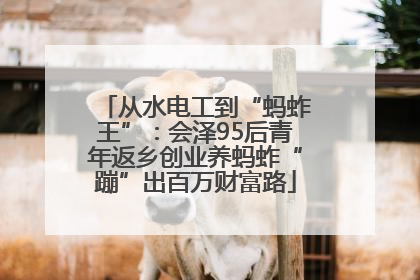 从水电工到“蚂蚱王”：会泽95后青年返乡创业养蚂蚱“蹦”出百万财富路