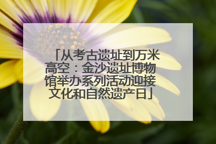 从考古遗址到万米高空：金沙遗址博物馆举办系列活动迎接文化和自然遗产日