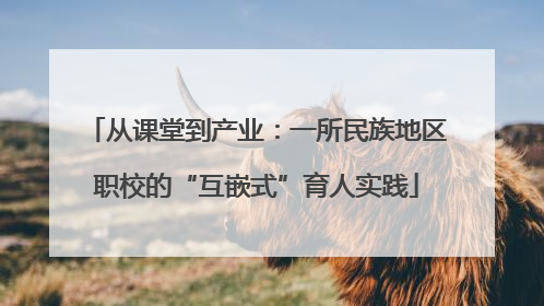 从课堂到产业：一所民族地区职校的“互嵌式”育人实践