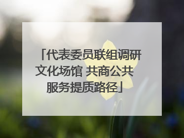 代表委员联组调研文化场馆 共商公共服务提质路径