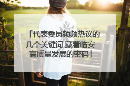 代表委员频频热议的几个关键词 藏着临安高质量发展的密码