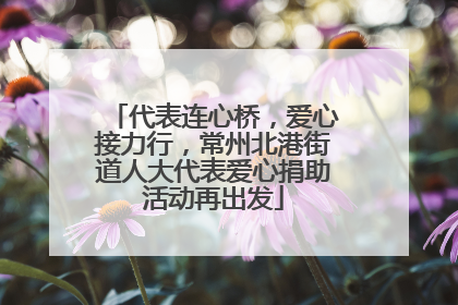 代表连心桥，爱心接力行，常州北港街道人大代表爱心捐助活动再出发