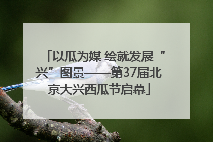 以瓜为媒 绘就发展“兴”图景——第37届北京大兴西瓜节启幕
