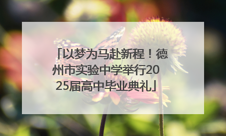 以梦为马赴新程！德州市实验中学举行2025届高中毕业典礼
