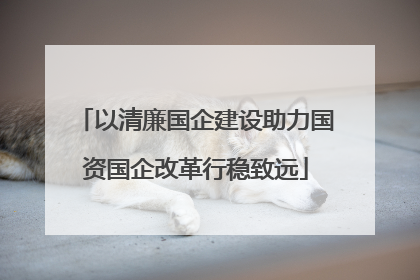 以清廉国企建设助力国资国企改革行稳致远