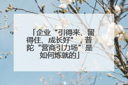 企业“引得来、留得住、成长好”，普陀“营商引力场”是如何炼就的