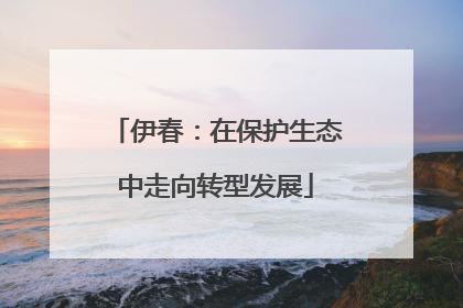 伊春：在保护生态中走向转型发展