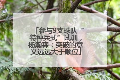参与9支球队“特种兵式”试训，杨瀚森：突破的意义远远大于顺位