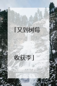 又到树莓收获季