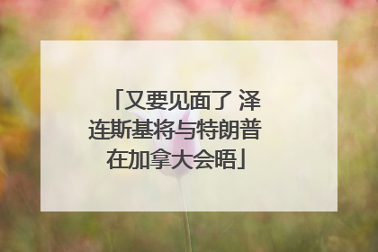 又要见面了 泽连斯基将与特朗普在加拿大会晤