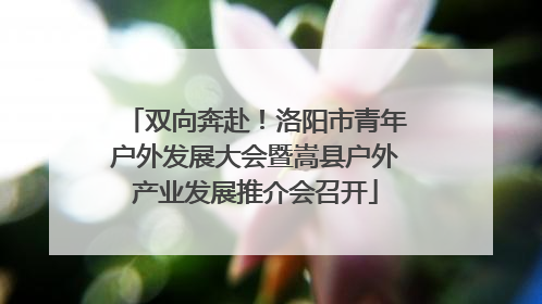 双向奔赴！洛阳市青年户外发展大会暨嵩县户外产业发展推介会召开