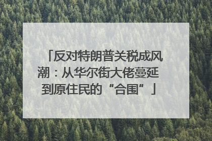 反对特朗普关税成风潮：从华尔街大佬蔓延到原住民的“合围”