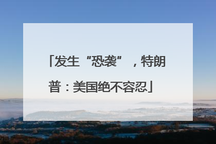 发生“恐袭”，特朗普：美国绝不容忍