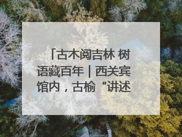 古木阅吉林 树语藏百年｜西关宾馆内，古榆“讲述”时光絮语