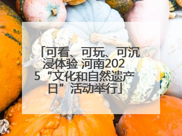 可看、可玩、可沉浸体验 河南2025“文化和自然遗产日”活动举行