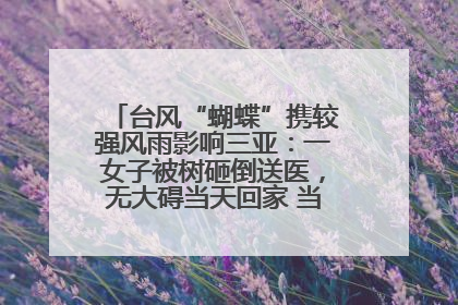 台风“蝴蝶”携较强风雨影响三亚：一女子被树砸倒送医，无大碍当天回家 当地已紧急清障