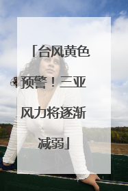 台风黄色预警！三亚风力将逐渐减弱