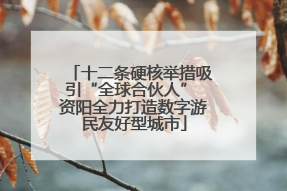 十二条硬核举措吸引“全球合伙人” 资阳全力打造数字游民友好型城市