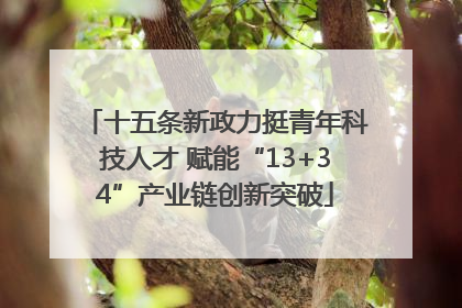 十五条新政力挺青年科技人才 赋能“13+34”产业链创新突破