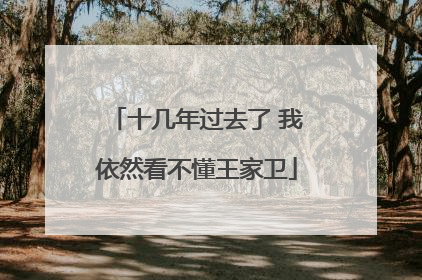 十几年过去了 我依然看不懂王家卫