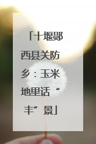 十堰郧西县关防乡：玉米地里话“丰”景