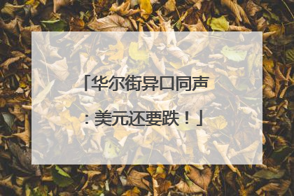 华尔街异口同声：美元还要跌！