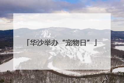 华沙举办“宠物日”