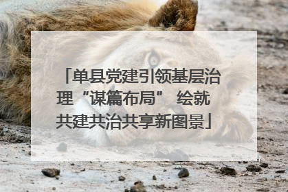 单县党建引领基层治理“谋篇布局” 绘就共建共治共享新图景